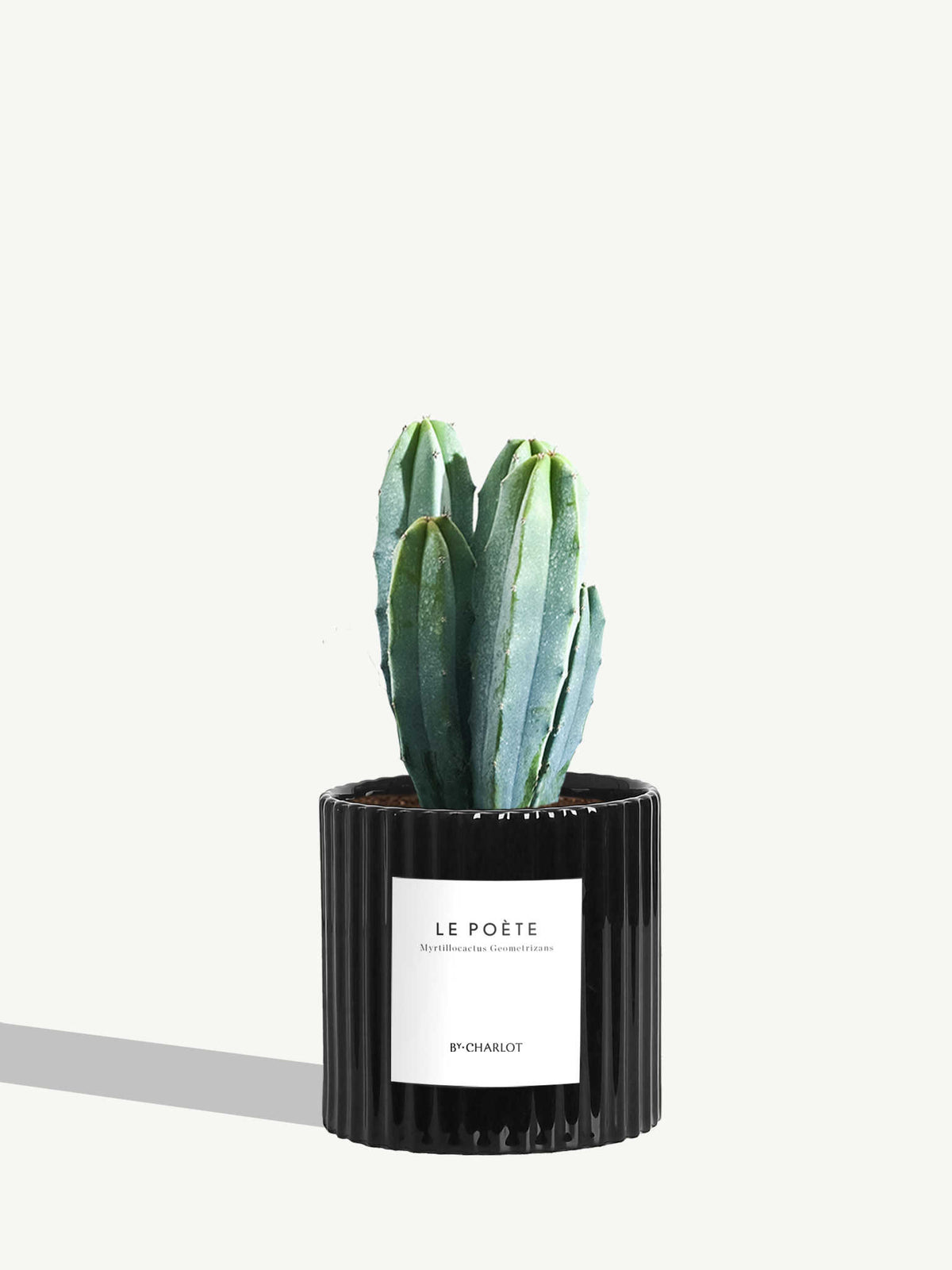 Le Poète