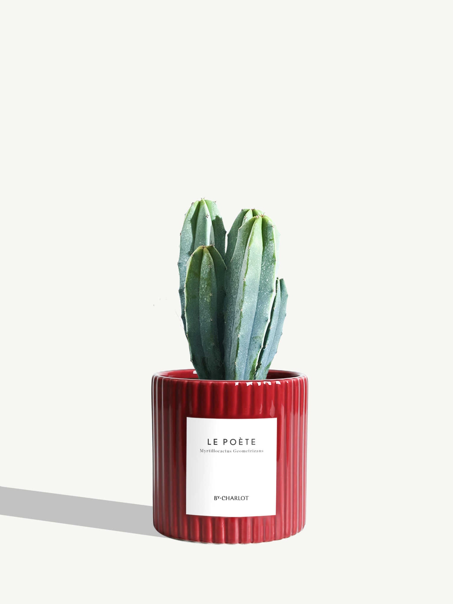 Le Poète
