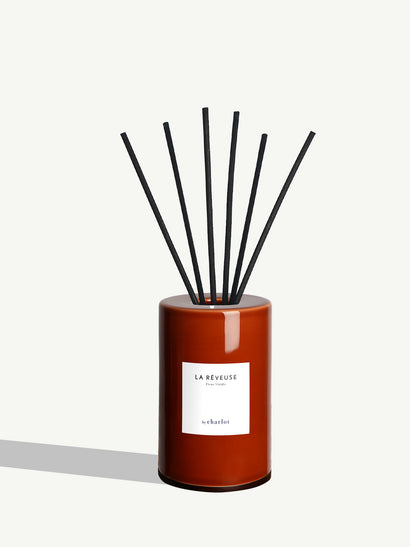 The Dreamer Diffuser