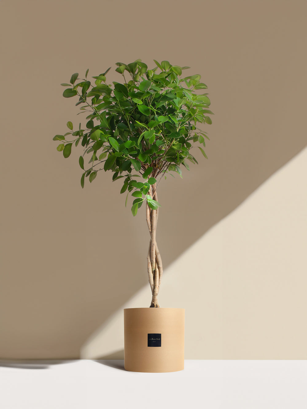 La Sublime - Pot beige