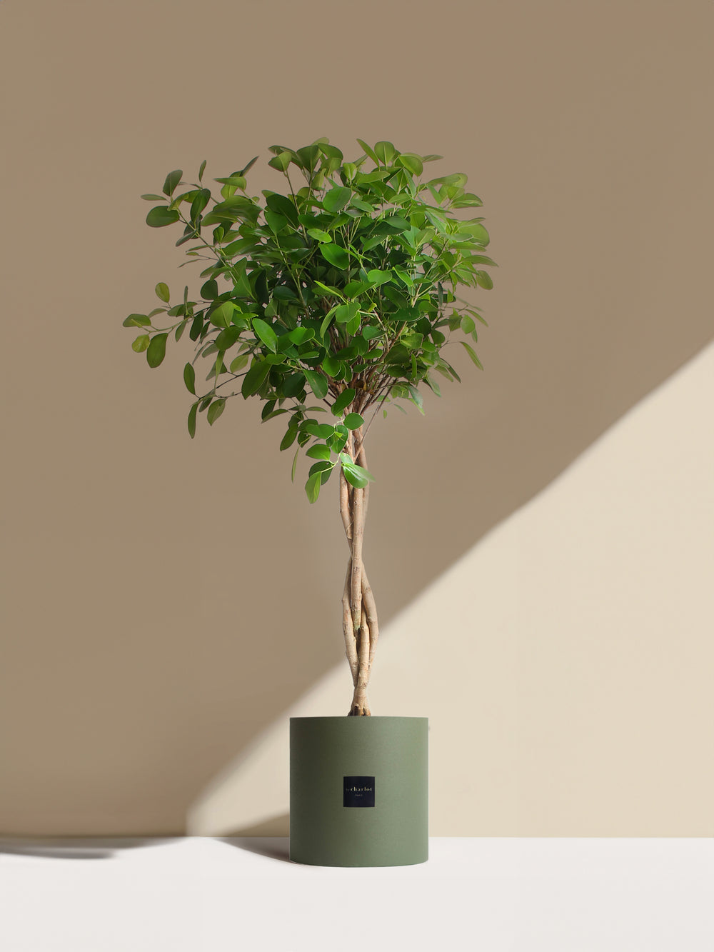 La Sublime - Pot vert