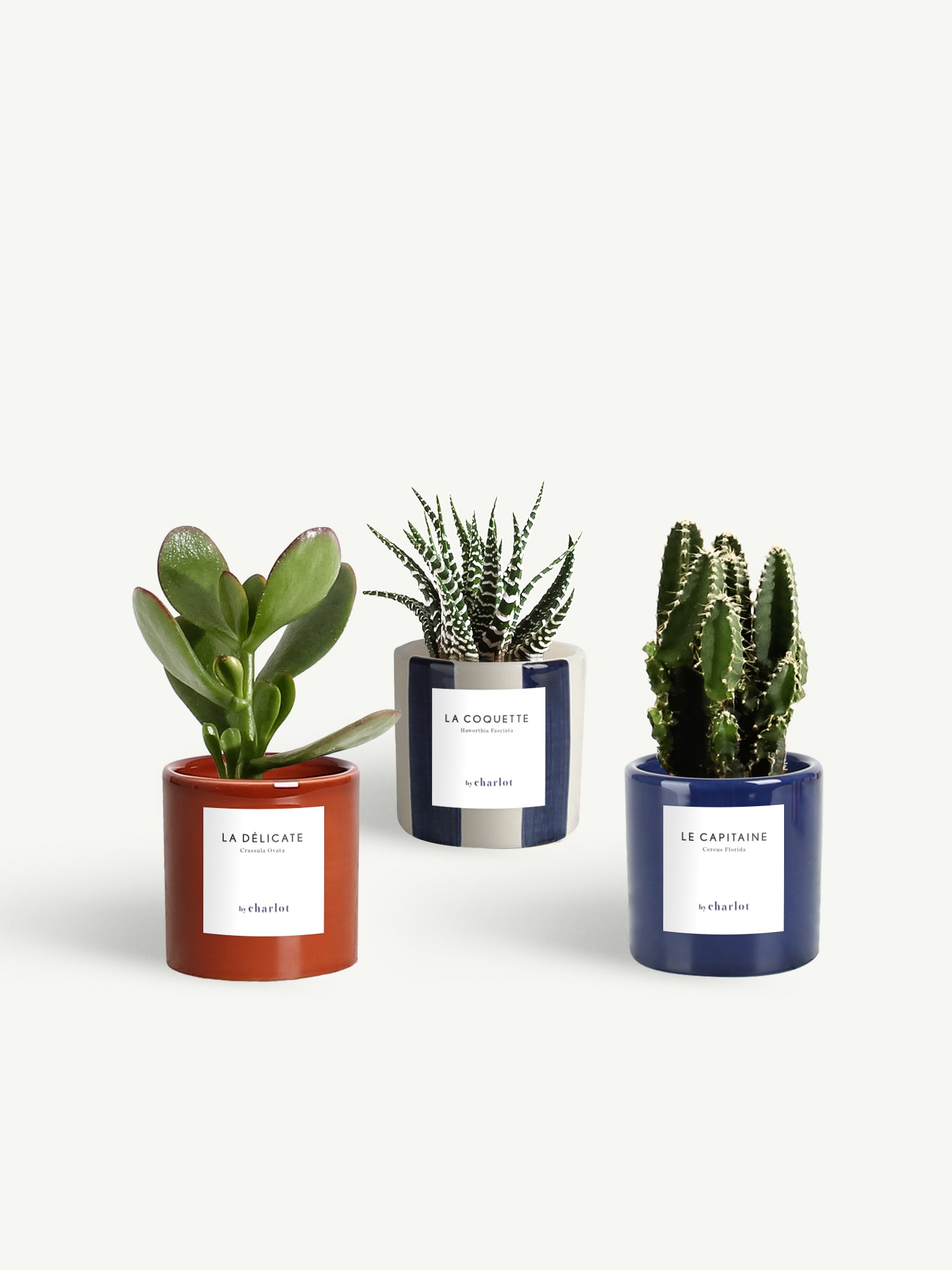 Trio miniature céramique