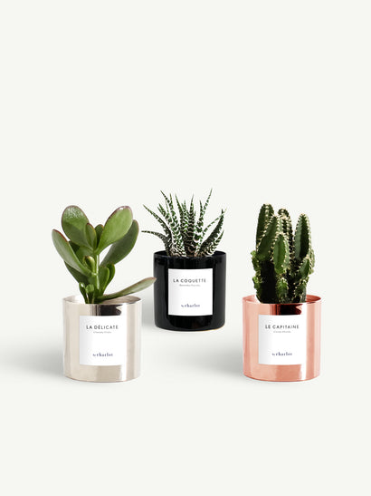 Trio miniature métal brut