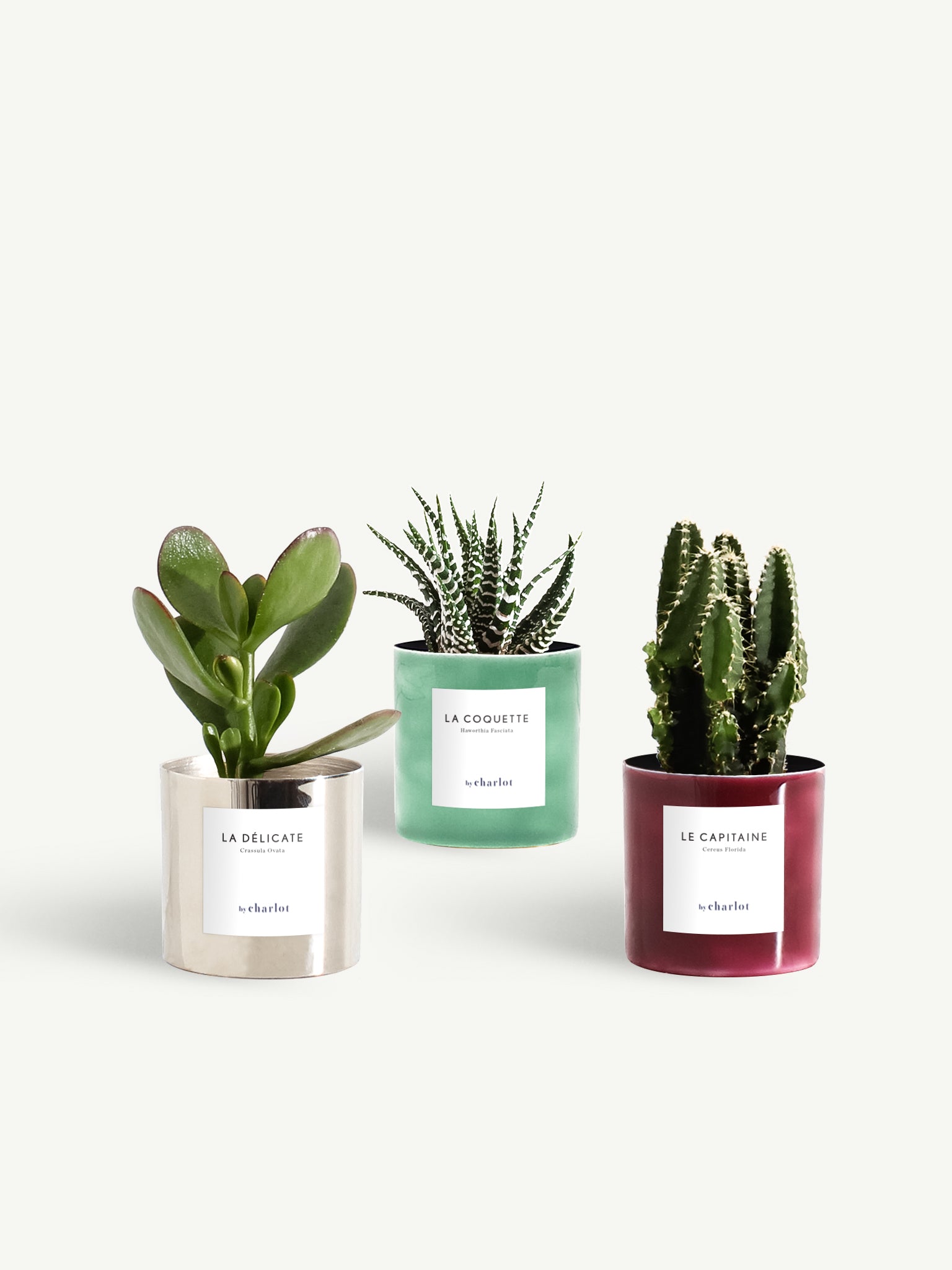 Trio miniature métal coloré