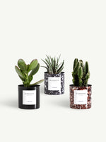 Trio miniature métal marbré