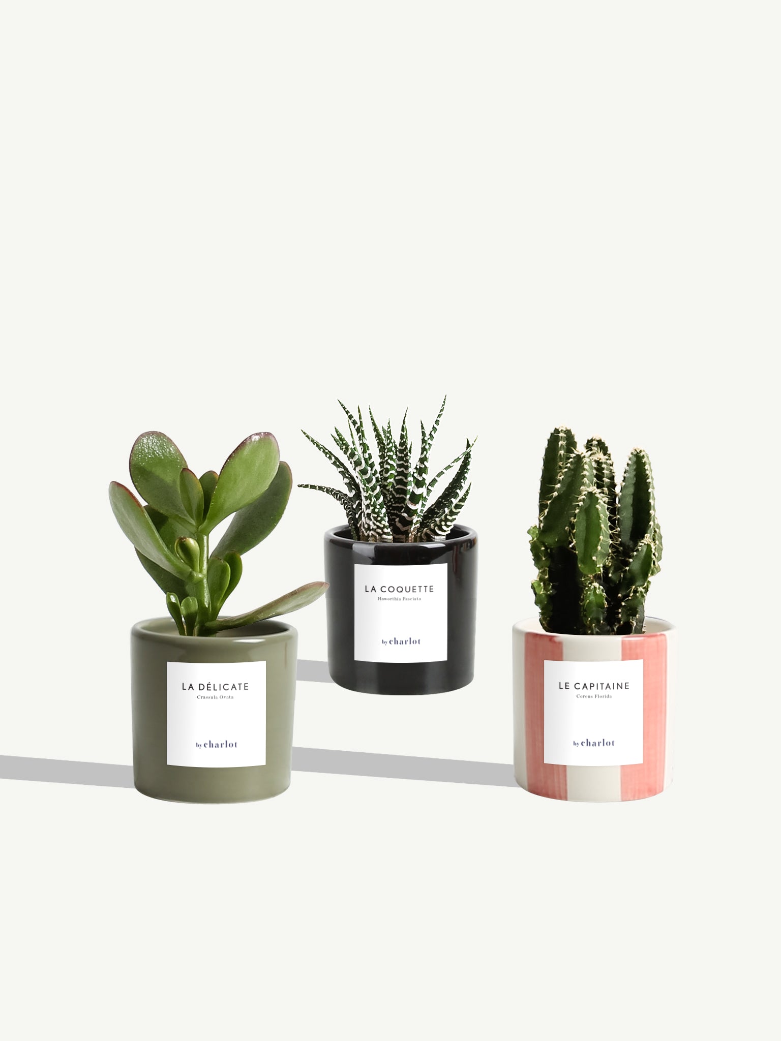 Trio miniature céramique foncé