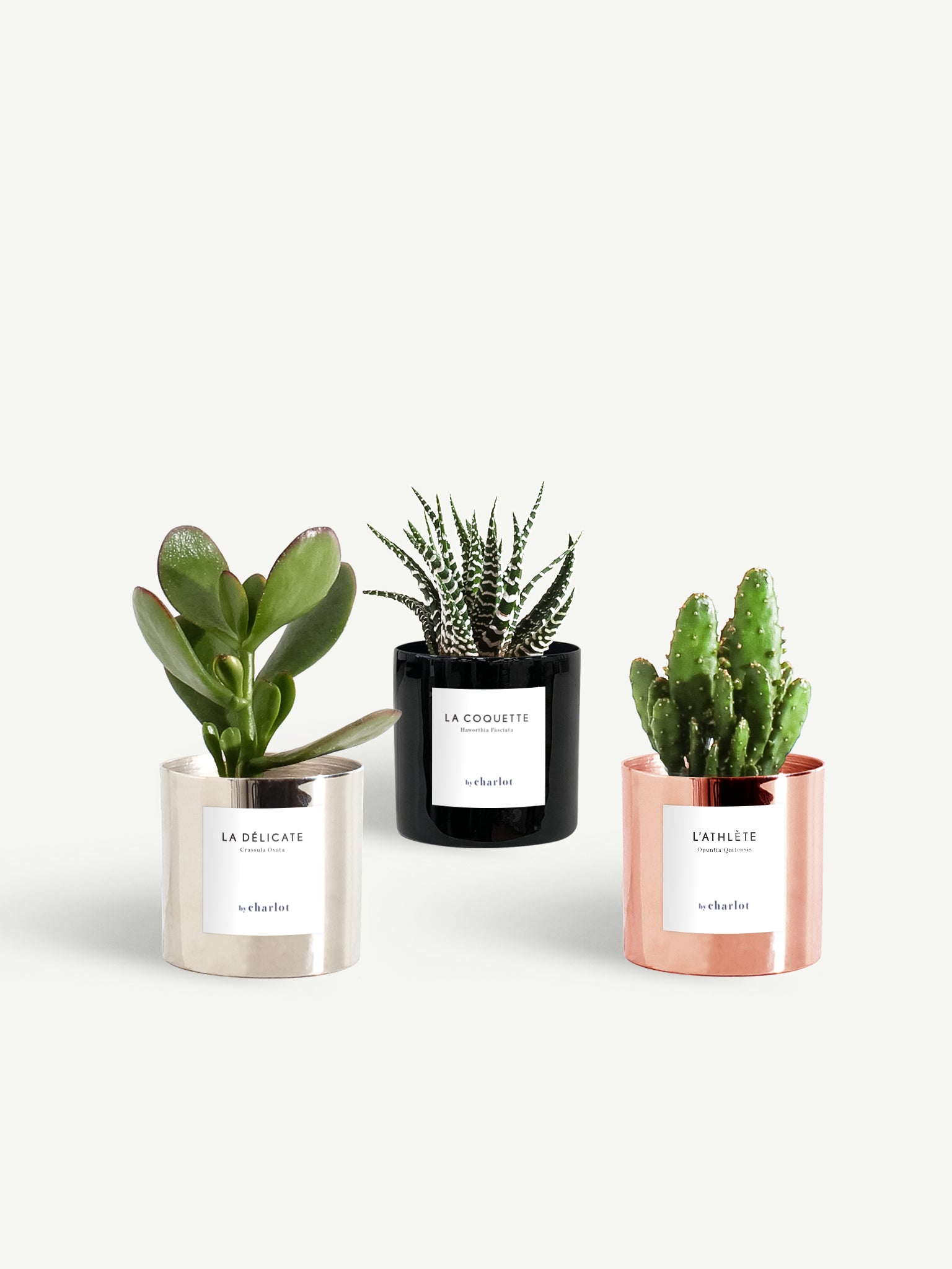 Trio miniature métal brut
