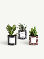 Trio miniature métal marbré