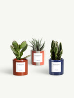 Trio miniature céramique