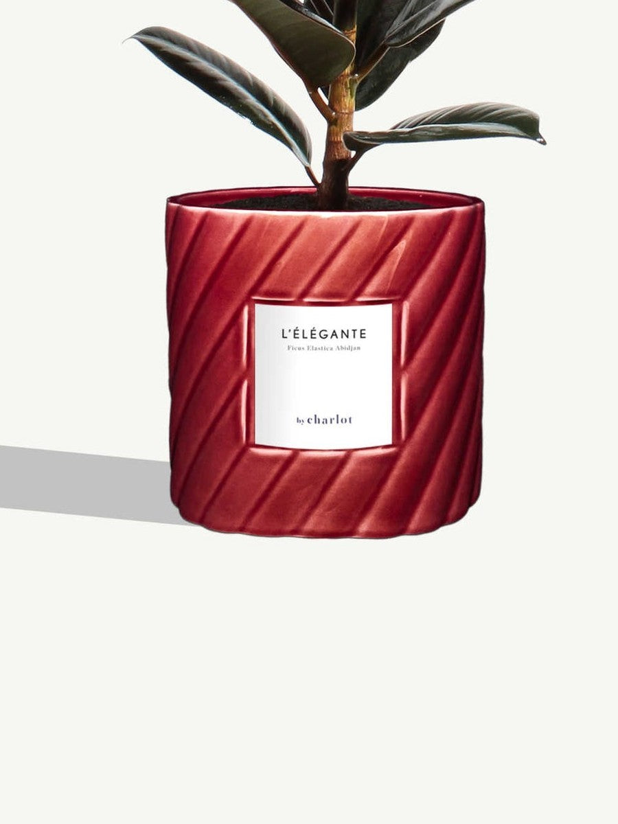 Pot en céramique Gelato, torsadée, rouge
