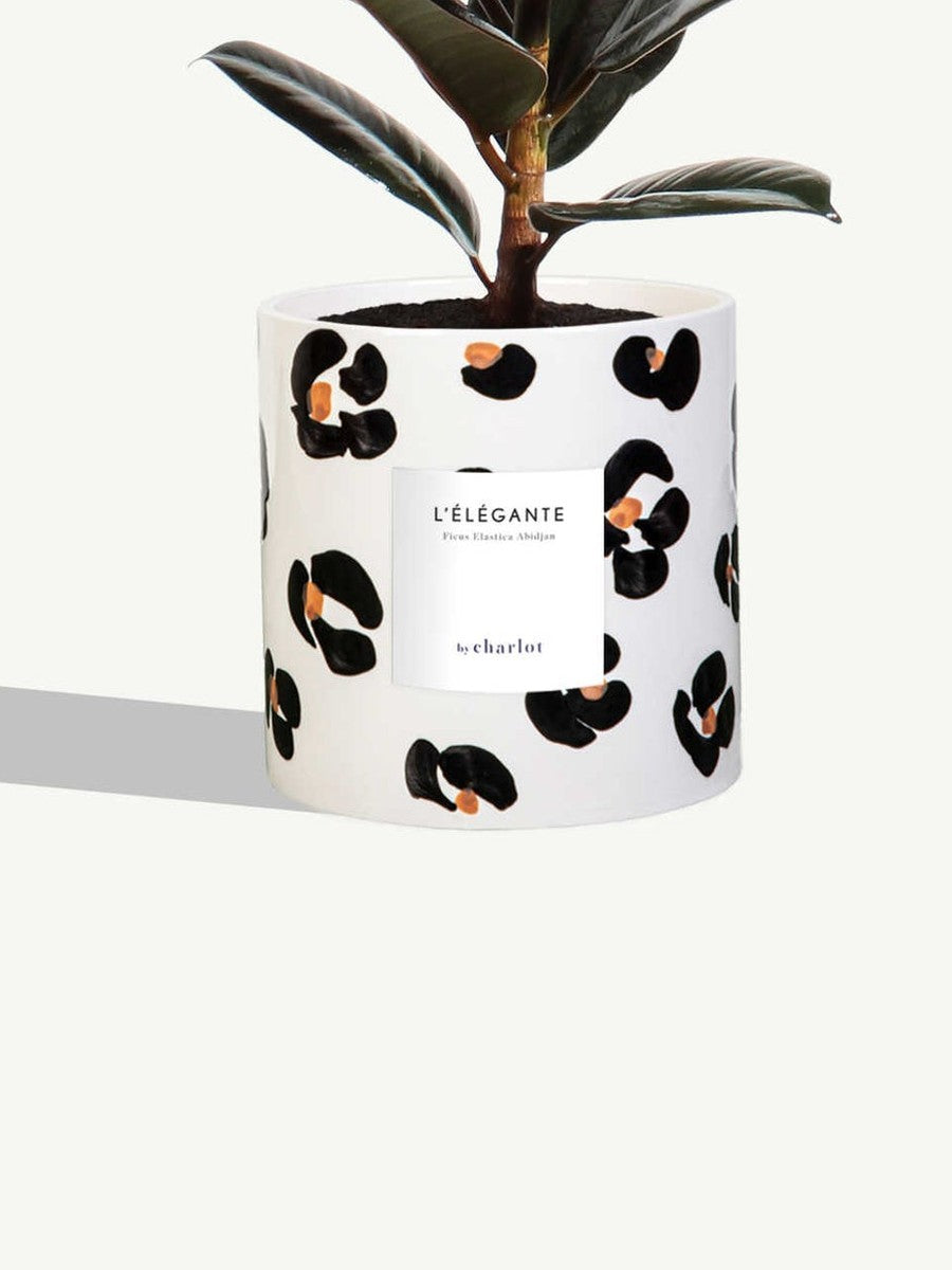 Pot en céramique Léopard, tachetée, blanc