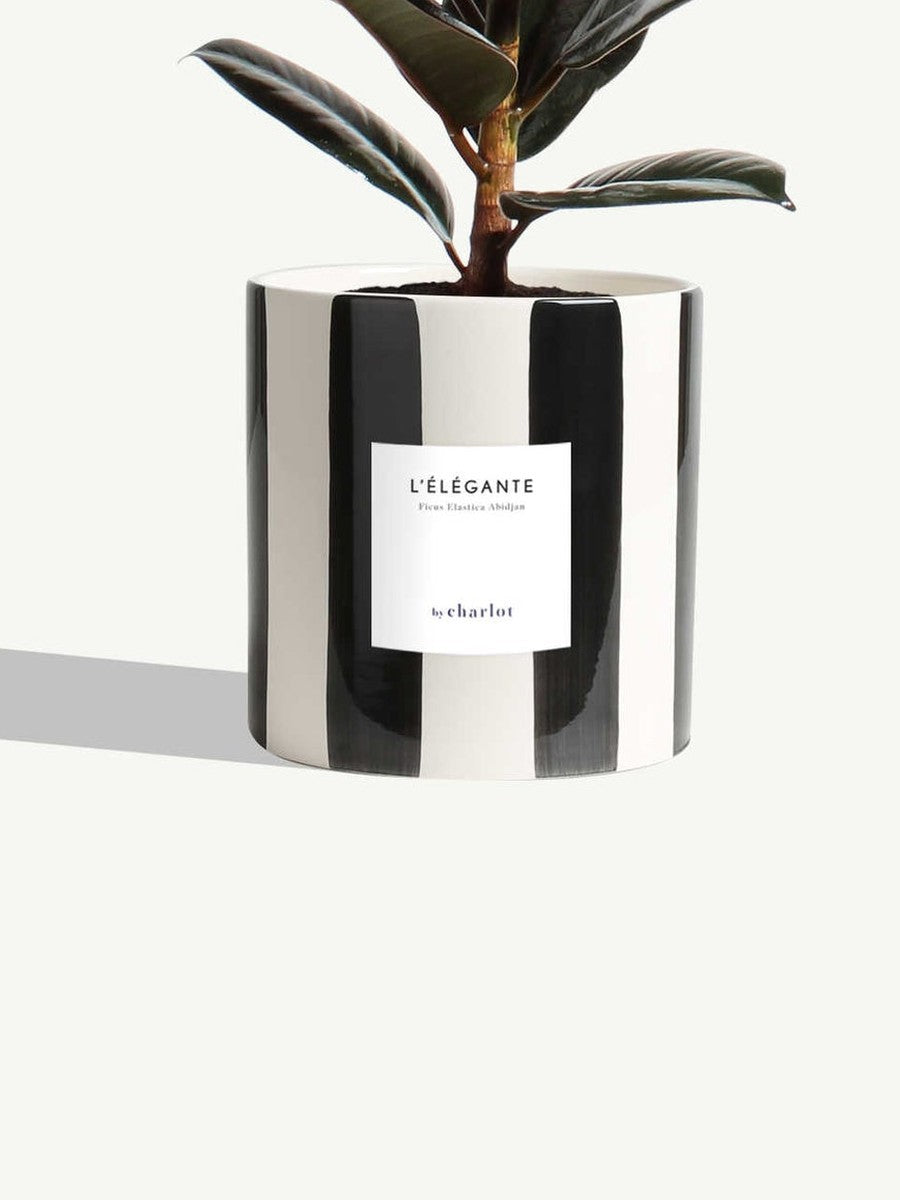 Pot en céramique rayée, noir et blanc