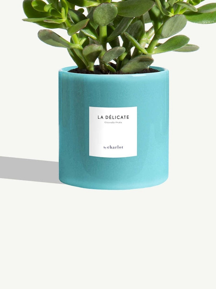 Pot en céramique unie Territoire, turquoise