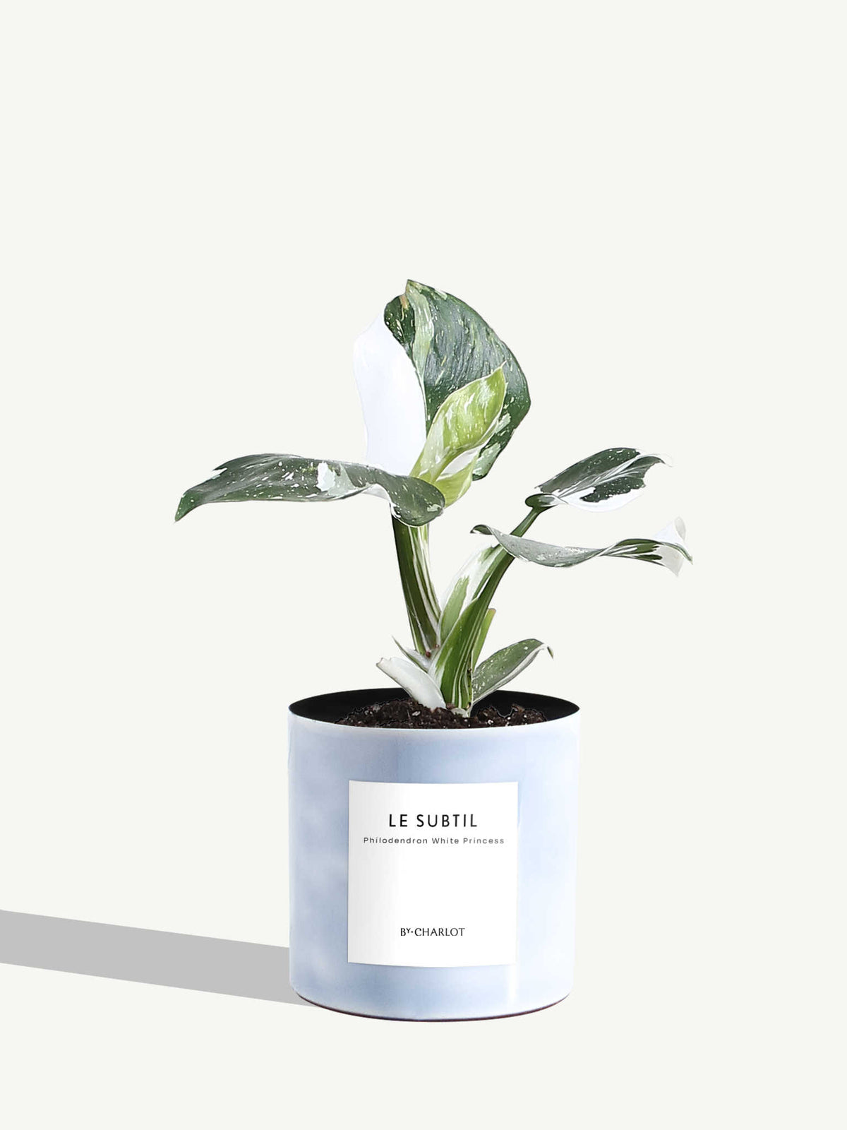 The Subtle One