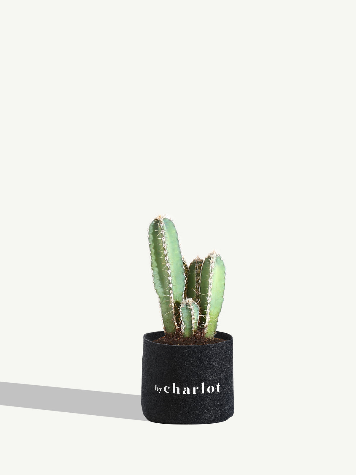 The Refined