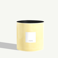XL Selected Pot